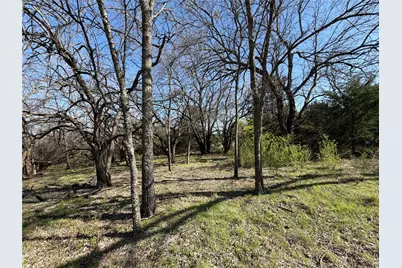 Tbd Crews Road, Bells, TX 75414 - Photo 8