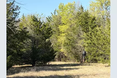 Tbd Crews Road, Bells, TX 75414 - Photo 12