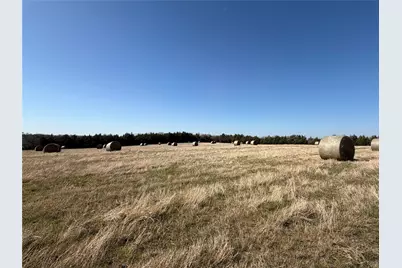 Tbd Crews Road, Bells, TX 75414 - Photo 38