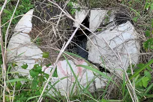 21474 Co Rd 639, Royse City, TX 75189 - Photo 20