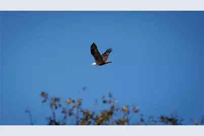 124 Private Road 3209, Bridgeport, TX 76426 - Photo 38