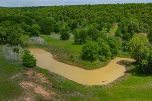 1525 N Bosley Rd, Santo, TX 76472 - Photo 30