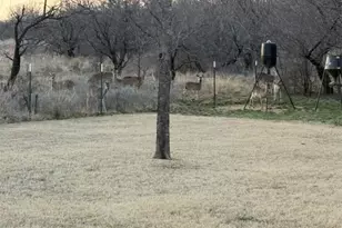 116 Valley Ridge Ct, Runaway Bay, TX 76426 - Photo 38