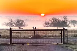 6482 Co Rd 321, Valley View, TX 76272 - Photo 36