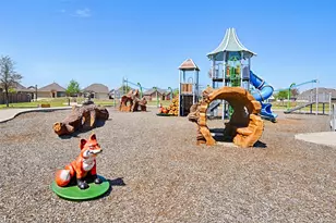 7300 Black Cherry Ln, McKinney, TX 75071 - Photo 38