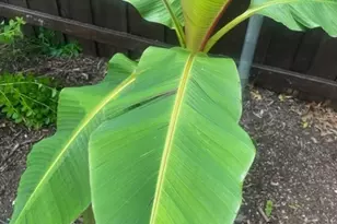 100 Barkley Dr, Hickory Creek, TX 75065 - Photo 26