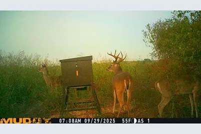 220 County Road 3310, Valley Mills, TX 76689 - Photo 20