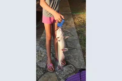 419 Sky Harbour Court, Granbury, TX 76049 - Photo 38