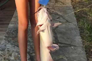 419 Sky Harbour Ct, Granbury, TX 76049 - Photo 38