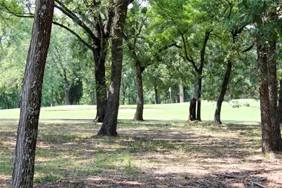 110 Bay Tree Trail, Mabank, TX 75156 - Photo 20