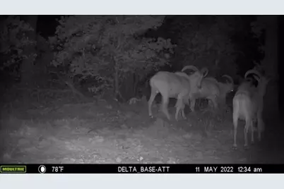 1390 Clayton Mountain Road, Gordon, TX 76453 - Photo 14