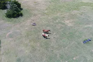 14200 County Road 2180, Richland, TX 76681 - Photo 14