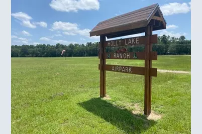 284 Pleasant Hill Lane, Holly Lake Ranch, TX 75765 - Photo 32