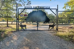 7601 Zion Hill Rd, Poolville, TX 76487 - Photo 8