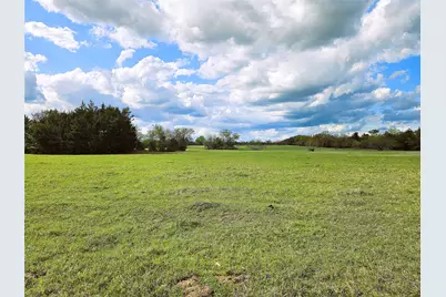 55.76 Acres Fm-3371, Groesbeck, TX 76642 - Photo 6