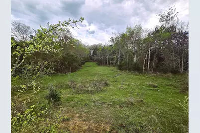 55.76 Acres Fm-3371, Groesbeck, TX 76642 - Photo 18