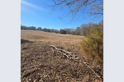 19953 Turtle Creek Road, Flint, TX 75762 - Photo 2