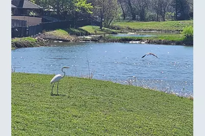 1333 Cog Hill Drive, Fort Worth, TX 76120 - Photo 36