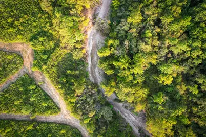 Tbd County Road 3550, Honey Grove, TX 75446 - Photo 4