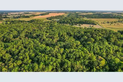 Tbd County Road 3550, Honey Grove, TX 75446 - Photo 6