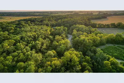 Tbd County Road 3550, Honey Grove, TX 75446 - Photo 8