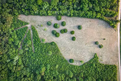 Tbd County Road 3550, Honey Grove, TX 75446 - Photo 2