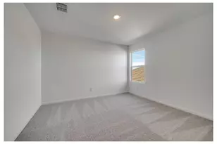 3145 Burmese St, Providence Village, TX 76227 - Photo 20