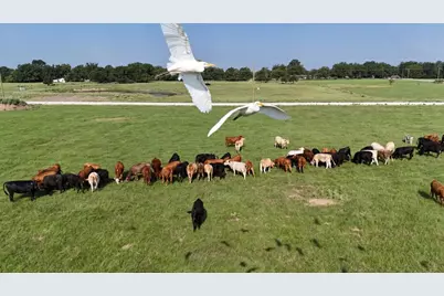 P2L18 County Road 463, Mexia, TX 76667 - Photo 8