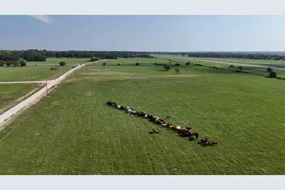 P2L18 County Road 463, Mexia, TX 76667 - Photo 6