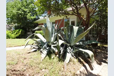 2222 Irwin Street, Fort Worth, TX 76110 - Photo 18