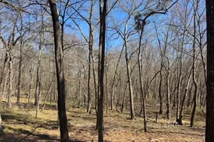 Tbd Anderson County Rd 319, Frankston, TX 75763 - Photo 4