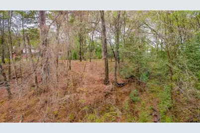 161 Fairway Drive E, Hideaway, TX 75771 - Photo 2