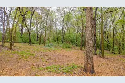 161 Fairway Drive E, Hideaway, TX 75771 - Photo 6