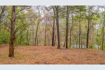 161 Fairway Drive E, Hideaway, TX 75771 - Photo 8