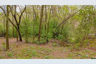 161 Fairway Drive E, Hideaway, TX 75771 - Photo 12