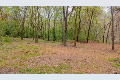 161 Fairway Drive E, Hideaway, TX 75771 - Photo 10