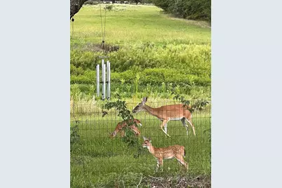 127 A Crump Aka Hwy 19 Lane, Sulphur Springs, TX 75482 - Photo 16