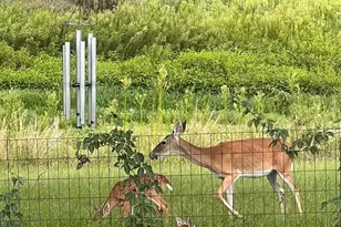 127 A Crump Aka Hwy 19 Ln, Sulphur Springs, TX 75482 - Photo 16