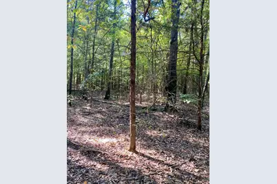 Tbd County Road 2615, Bonham, TX 75418 - Photo 4