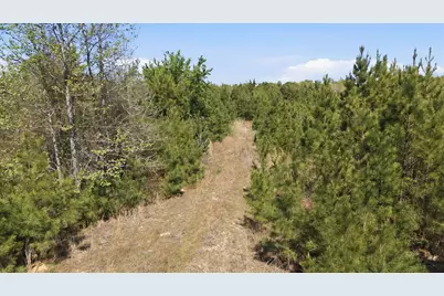 Tbd Cr 2382, Alba, TX 75410 - Photo 16