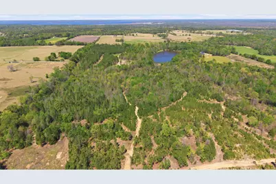 Tbd Cr 2382, Alba, TX 75410 - Photo 6