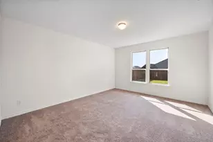 336 Rainbow Cactus Dr, Fort Worth, TX 76131 - Photo 16