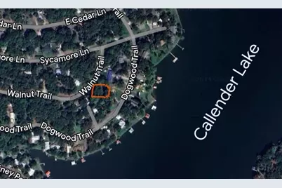 262 E Walnut Trail, Murchison, TX 75778 - Photo 6