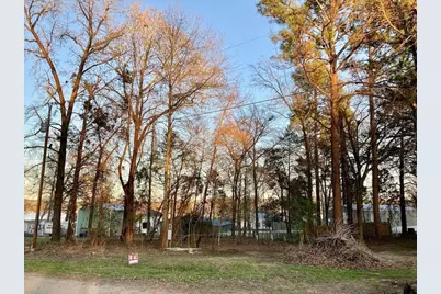 262 E Walnut Trail, Murchison, TX 75778 - Photo 4