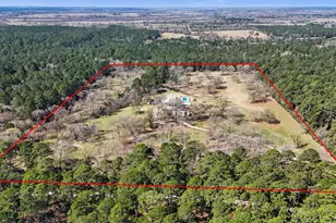 19225 Forest Service Rd 219, Richards, TX 77873 - Photo 36