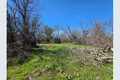 309 Hwy 36, Gustine, TX 76455 - Photo 4