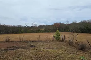 2267 Co Rd 3025, Bonham, TX 75418 - Photo 28