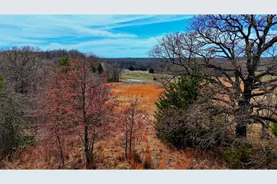 1887 Red Oak Hills Road, Nocona, TX 76255 - Photo 6