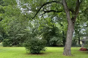 511 W Bonham Ave, Cooper, TX 75432 - Photo 22