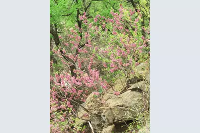 2016 N Lakeview Drive, Palo Pinto, TX 76484 - Photo 40